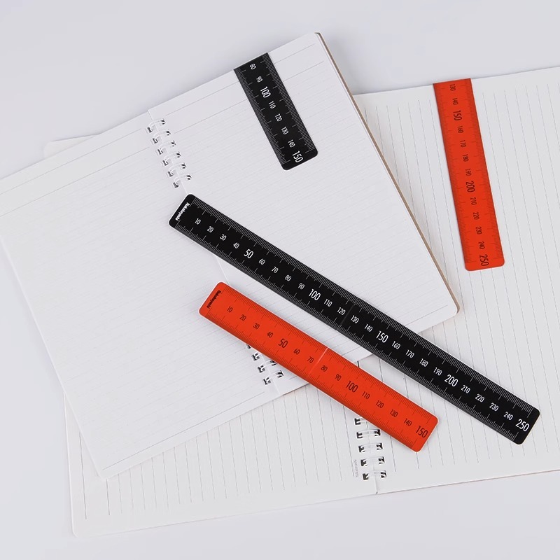 Bookmark Magnetic Clip - Reglas marcapáginas de 150/250mm, regla magnética