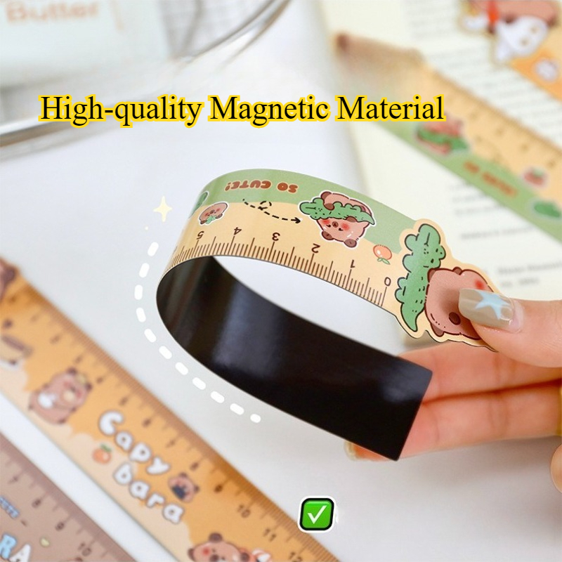 Regla marcapáginas magnética d - Bookmark Magnetic Clip reseña y precio