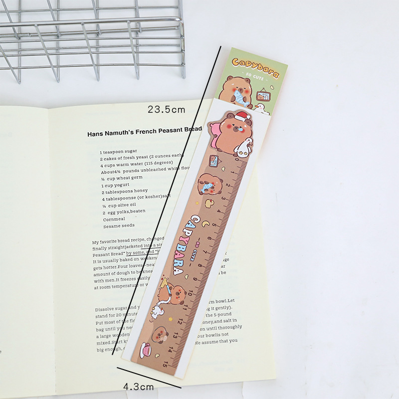 Regla marcapáginas magnética d - Bookmark Magnetic Clip reseña y precio